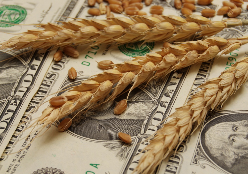 МФО занимают третье место по объемам кредитования малого агробизнеса